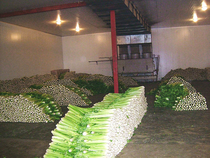 河源冷庫安裝 河源冷庫安裝